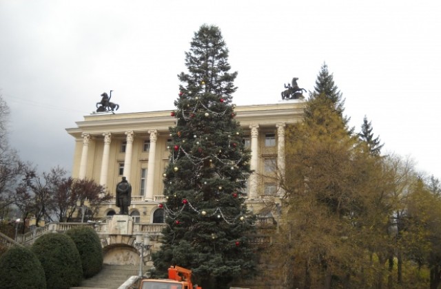 Коледната елха светва днес в Габрово
