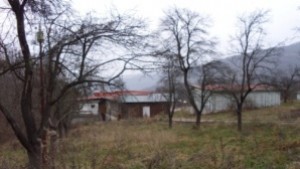 Над 950 саксии с канабис в почивна база на язовир