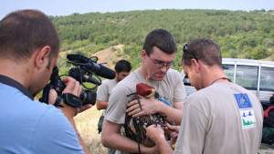 Демонстрираха уникална система за проследяване на царски орли