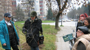 Пенсионери и хора с увреждания помогнаха за засаждане на дръвчета