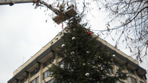 Коледната елха грейва утре