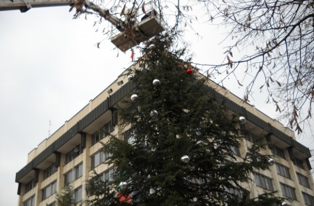 Коледната елха грейва утре