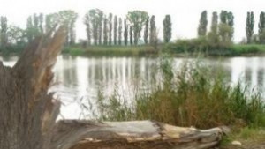 Избират група за управление на Злато поле
