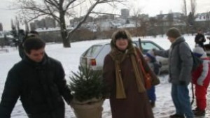 Елхите във Варна от Родопите и Балкана