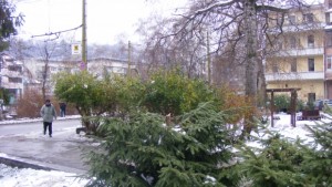 Поредният вандалски акт в Габрово