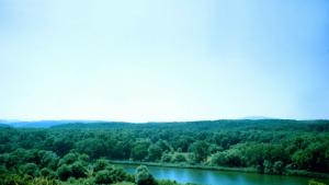 40 деца на финала на състезанието НАТУРА 2000