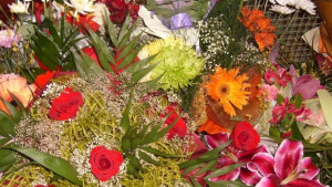 4390 именници празнуват Ивановден