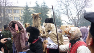 Кьорави кобили гониха злото