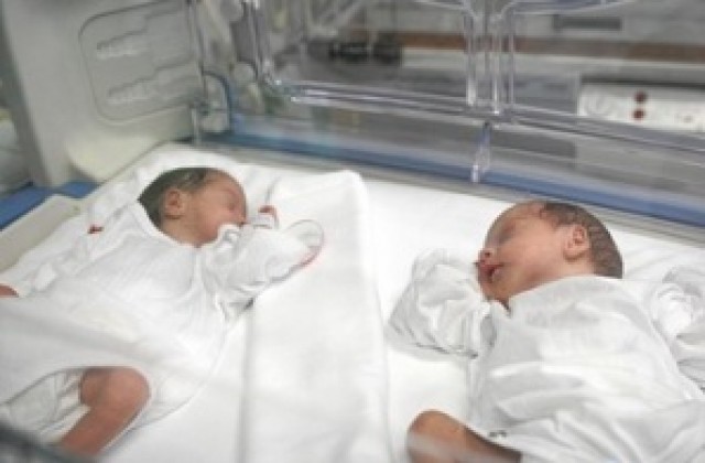37 двойки близнаци са се родили през 2009 г. в Плевенската болница