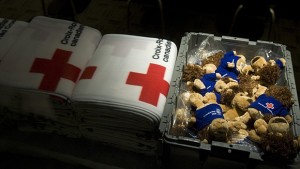 Хаити къде ще отидат парите