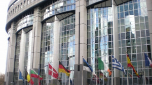 Докладчикът на ЕП призова Желева да оттегли кандидатурата си