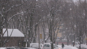 Снежна блокада в Бургаско