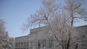 Зимна приказка завладя Добрич