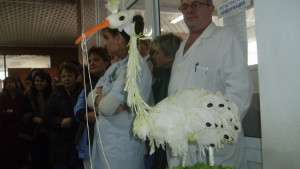 Щъркелът в АГ болница донесъл 7 пъти тризнаци