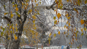 Подслон за бездомните бургазлии