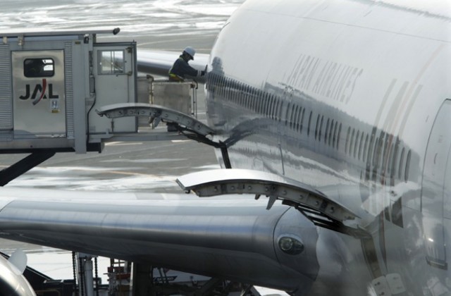 Самолет кацна аварийно заради попаднала в двигателя му птица