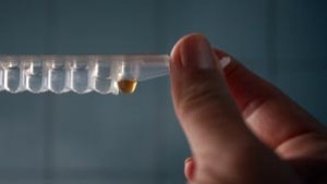 Безплатни изследвания за ХИВ СПИН организира РИОКОЗШумен