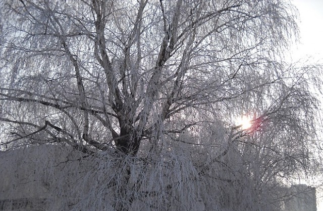 Обстановката в Добричко в най-студената сутрин за тази зима