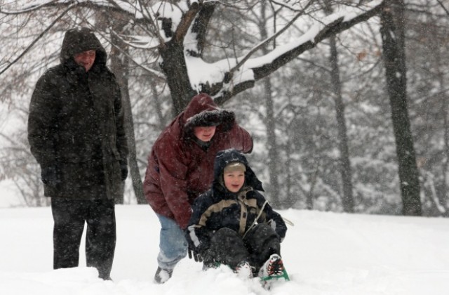 „Дървена ваканция само във Варна и Аксаково