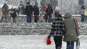 С натурална безвредна сол топят ледовете в Плевен