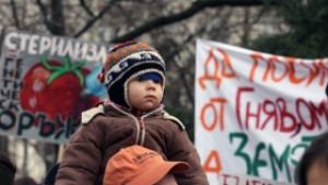 Еколози против допускането на ГМО храни у нас ще протестират