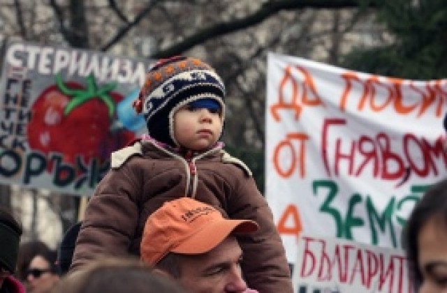Еколози против допускането на ГМО храни у нас, ще протестират