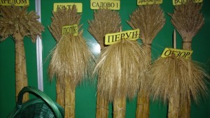Над 70 фирми показват продукти на Борсата за семена