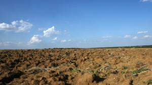 Спряха промяната на предназначението на земеделски земи по морското крайбрежие