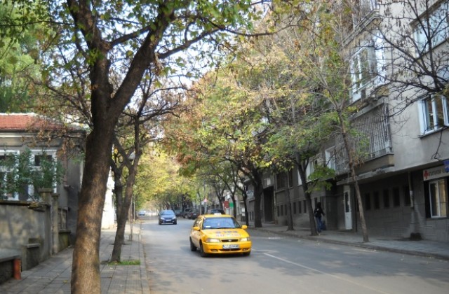 Спокойна пътна обстановка
