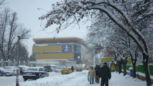 Снежна виелица цяла нощ над Русе
