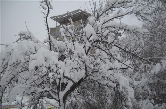 6 училища в областта са затворени