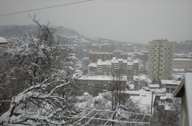 Даскалова: Целта на Общината не е да глобява