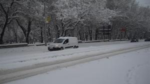 Варненски автомобил се преобърна на пътя Русе Варна