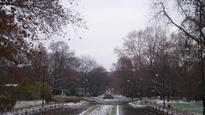 Кметът Морската да последва съдбата на Борисовата градина