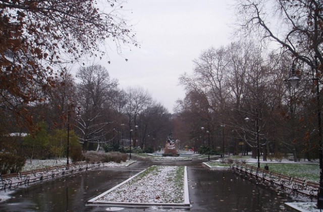 Кметът: Морската  да последва съдбата на Борисовата градина