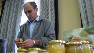 И пчеларите се обявиха срещу ГМО