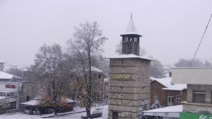 40 000 лв дава община Берковица на новородени през 2010