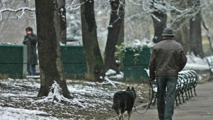 Определят райони за разходки на домашните любимци на столичани