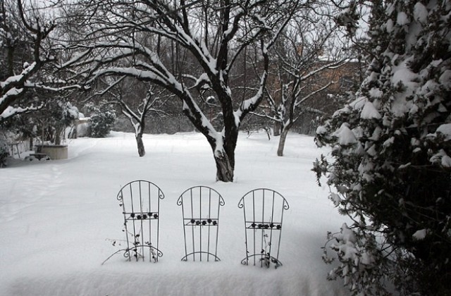 Българското бедствие