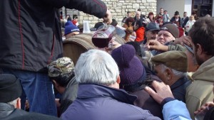 Иван Колев заряза лозата