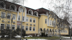 Шофьор се блъсна в дърво пред Данъчното в Разград в
