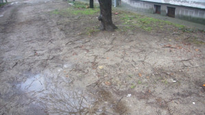 Борущица без ток отводняват десетки къщи в областта
