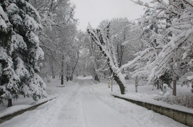 Вдигнаха снежната блокада около село Мугла