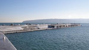 Прогнозират 10 ръст на туризма през Лято 2010