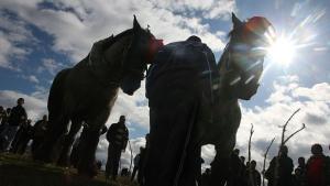 Празнуваме Тодоровден