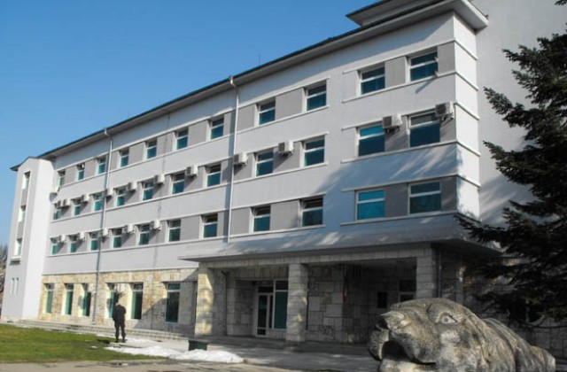 Знаме от цветя ще сади ГЕРБ-Разград