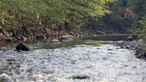 Язовирите Добротич и Есеница продължават да преливат