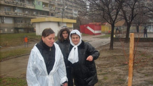 Родителите на Стоян Балтов садиха брезова горичка