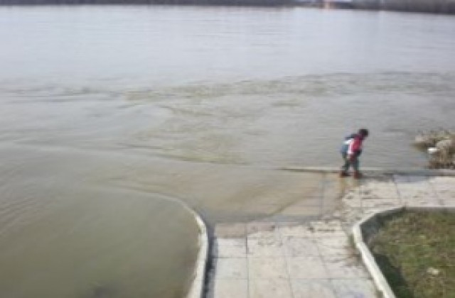 Дунав продължава да се покачва. Русе и Силистра вземат мерки