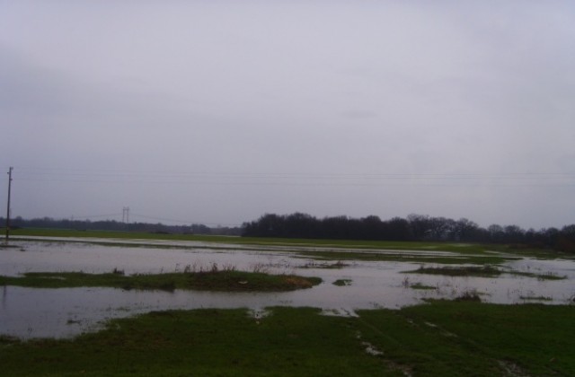 Над 30 000 декара земеделски земи били наводнени в Елхово и Болярово